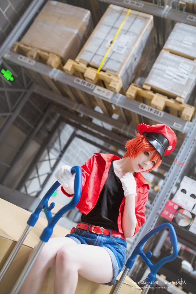cosplay紅細胞