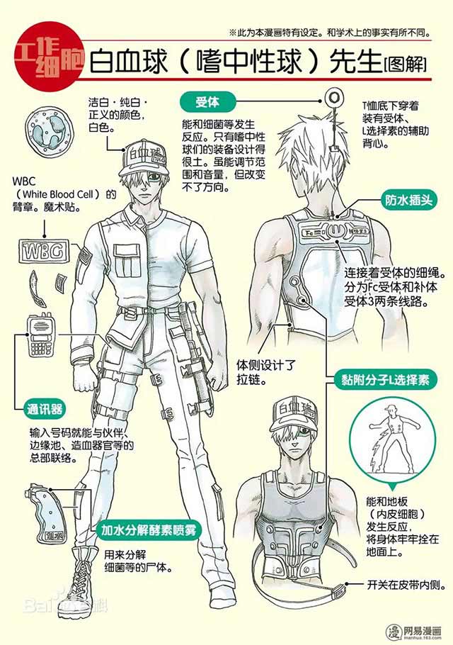 白細胞C服套裝定做