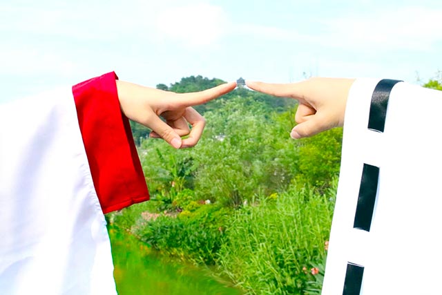 妖狐×仆coser