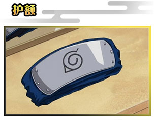 護額
