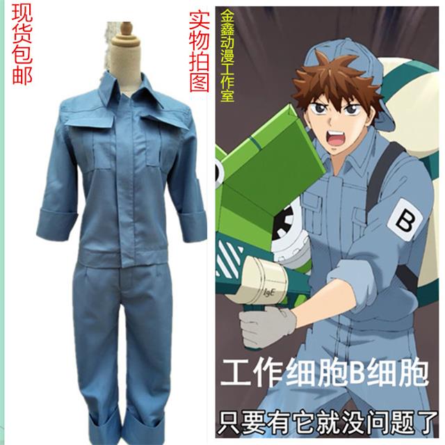 B細胞工作服