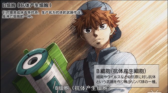B細胞