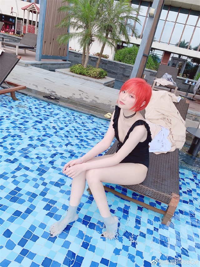 coser血貓
