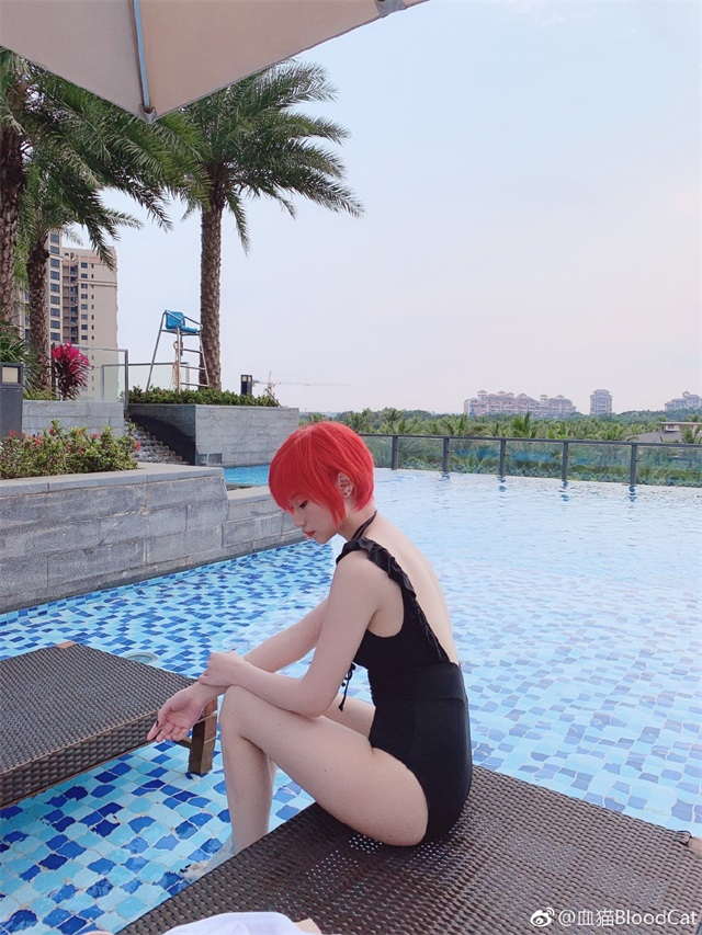 血貓