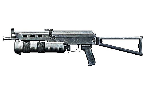 PP19