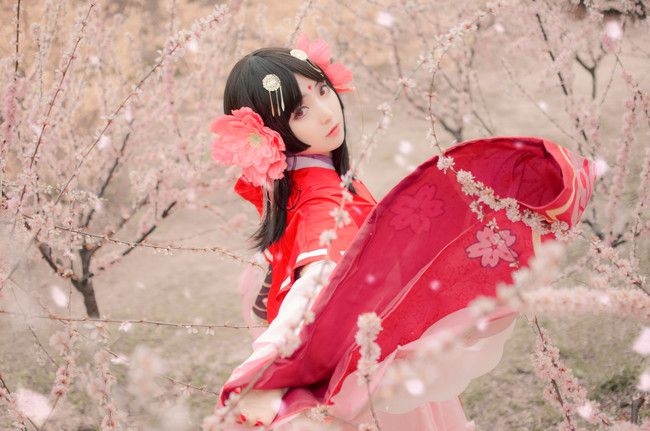 陰陽師櫻花妖